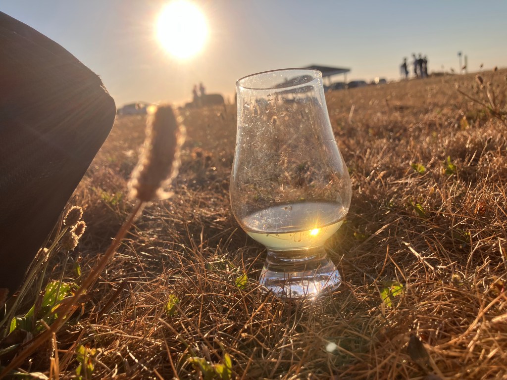Review no. 18: Lagavulin 12 (Special Release 2017)